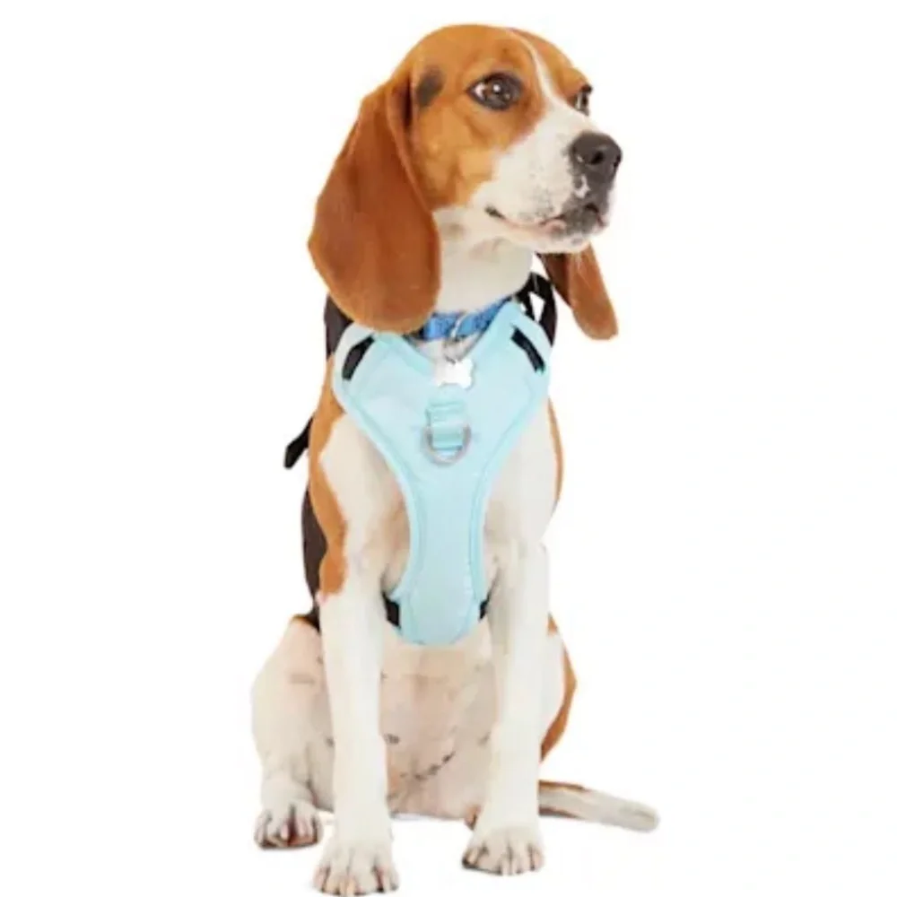 NWT Everyyay Road Trippin’ Car Harness Crash Tested L